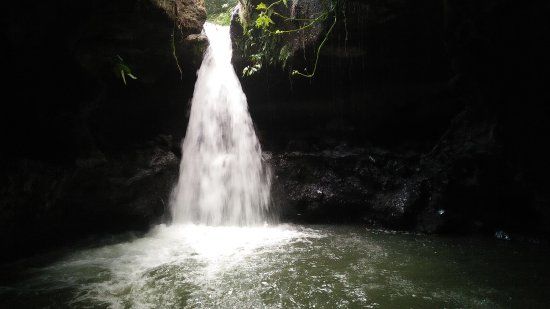 Burung Walet Waterfall