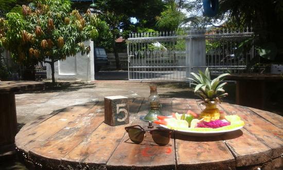 Nancy's House