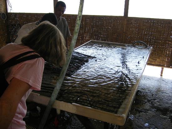 Bijouterie de perles Autore Pearl Farm and Showroom