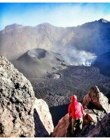 Dedy Adventure