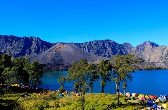 My Way Adventure