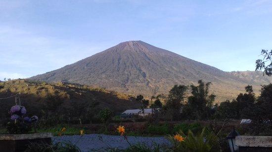 Selong Hill