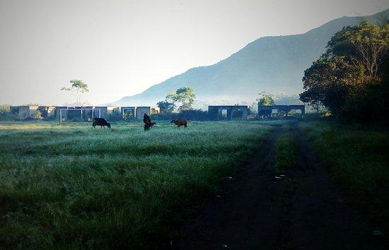 Lombok Rise - Day Tours
