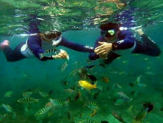 Lombok Pariwisata
