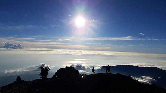 Rinjani Eco Green