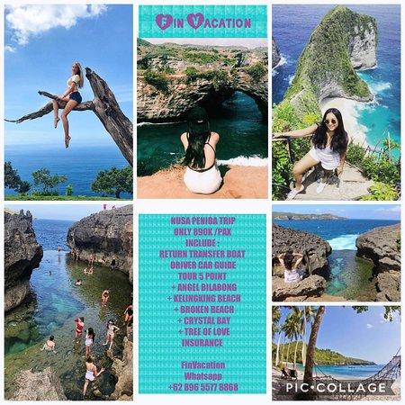 Vin vacation