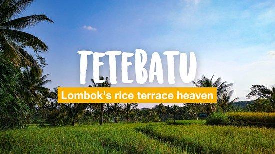 Tetebatu Backpackers