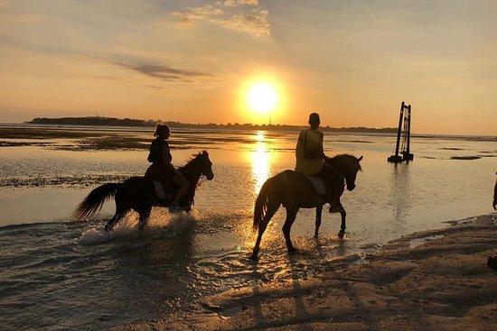 Easy Gili Tour