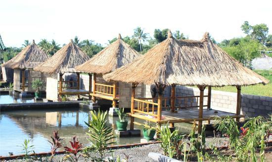Lesehan Cahaya